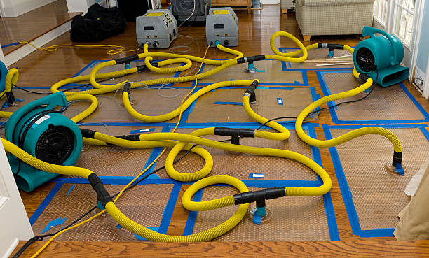Professional Water Extraction technician working in Black Creek, WI